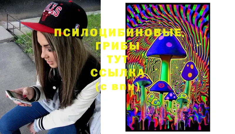 Галлюциногенные грибы Cubensis Данков